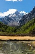 足球14场比分-深度揭秘，足球14场比分背后的博弈与智慧
